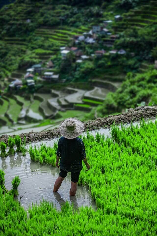 ベトナム山岳地帯の旅、少数民族が導く